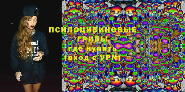 ГАЛЛЮЦИНОГЕННЫЕ ГРИБЫ Верхний Тагил