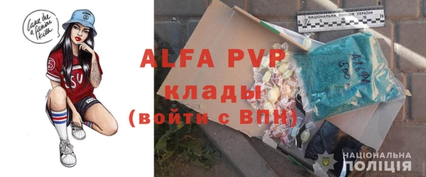 ГАЛЛЮЦИНОГЕННЫЕ ГРИБЫ Бородино