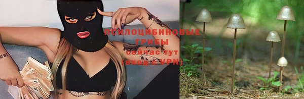 эйфоретик Волоколамск