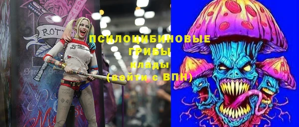 стафф Верея