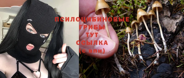 эйфоретик Волоколамск