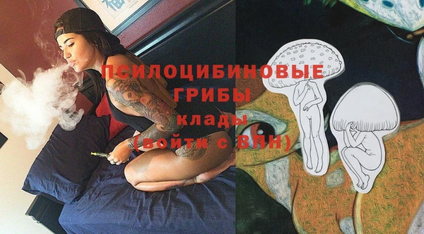 трава Бронницы